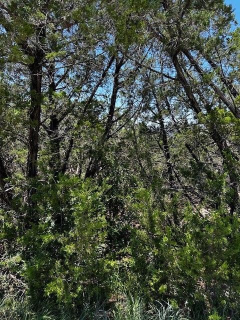 Photo of Listing #6456478