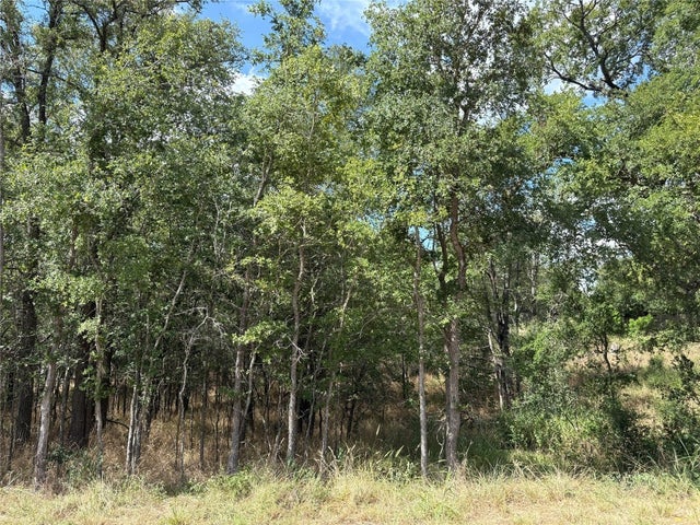 103 & 105 W Kikipua Lane, Bastrop