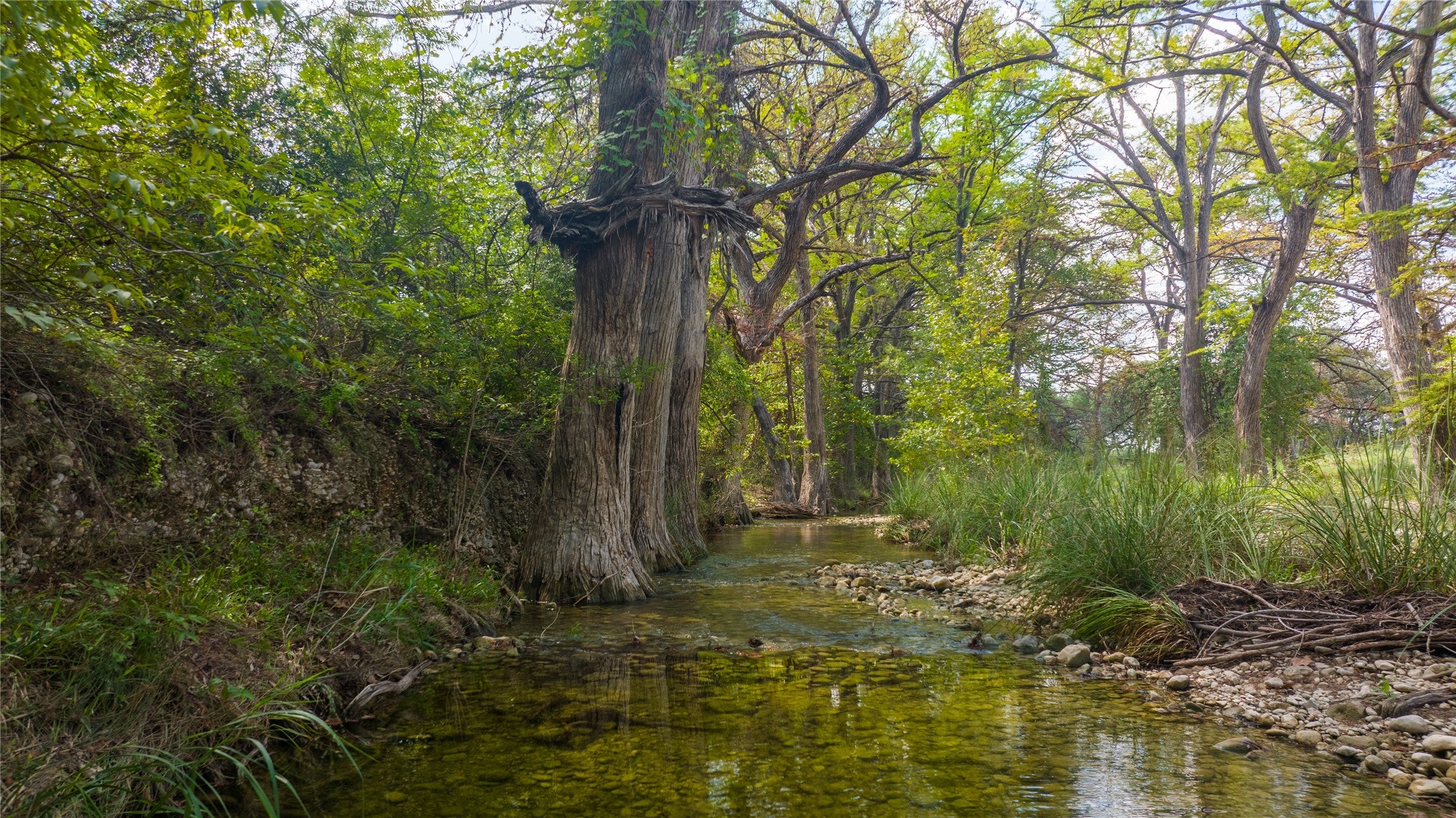 Photo of Listing #8327660