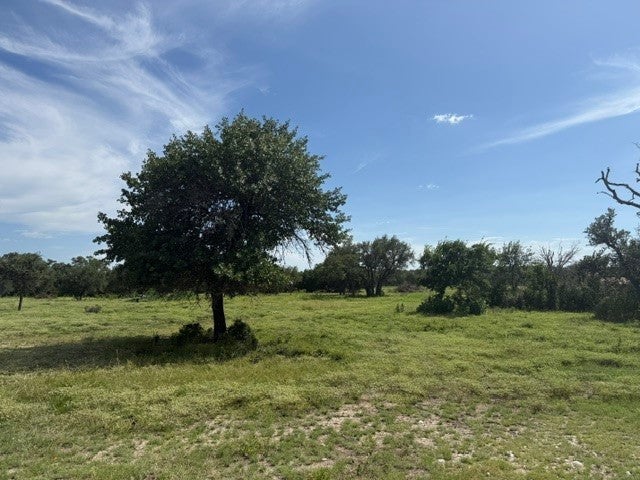 Photo of Listing #7690932