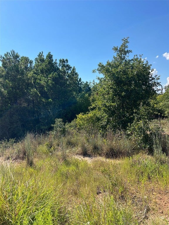 Tbd Poi Court, Bastrop