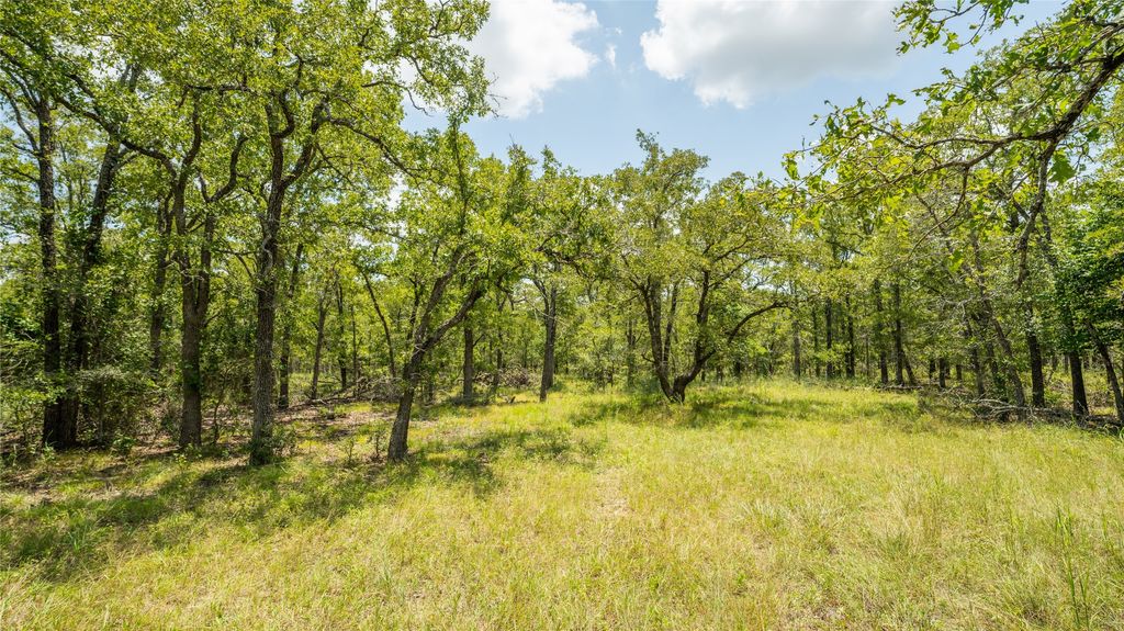418-g County Road 405, Buckholts