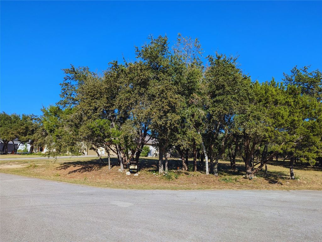 541 Onion Creek Lane, Driftwood