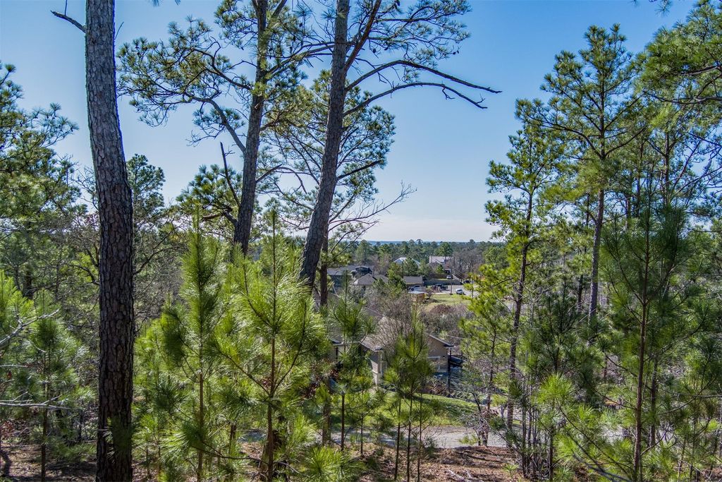 222 Makaha Drive, Bastrop