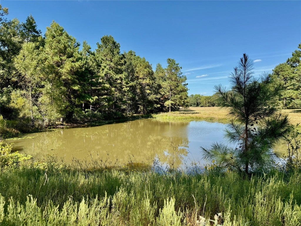 Photo of Listing #4485506