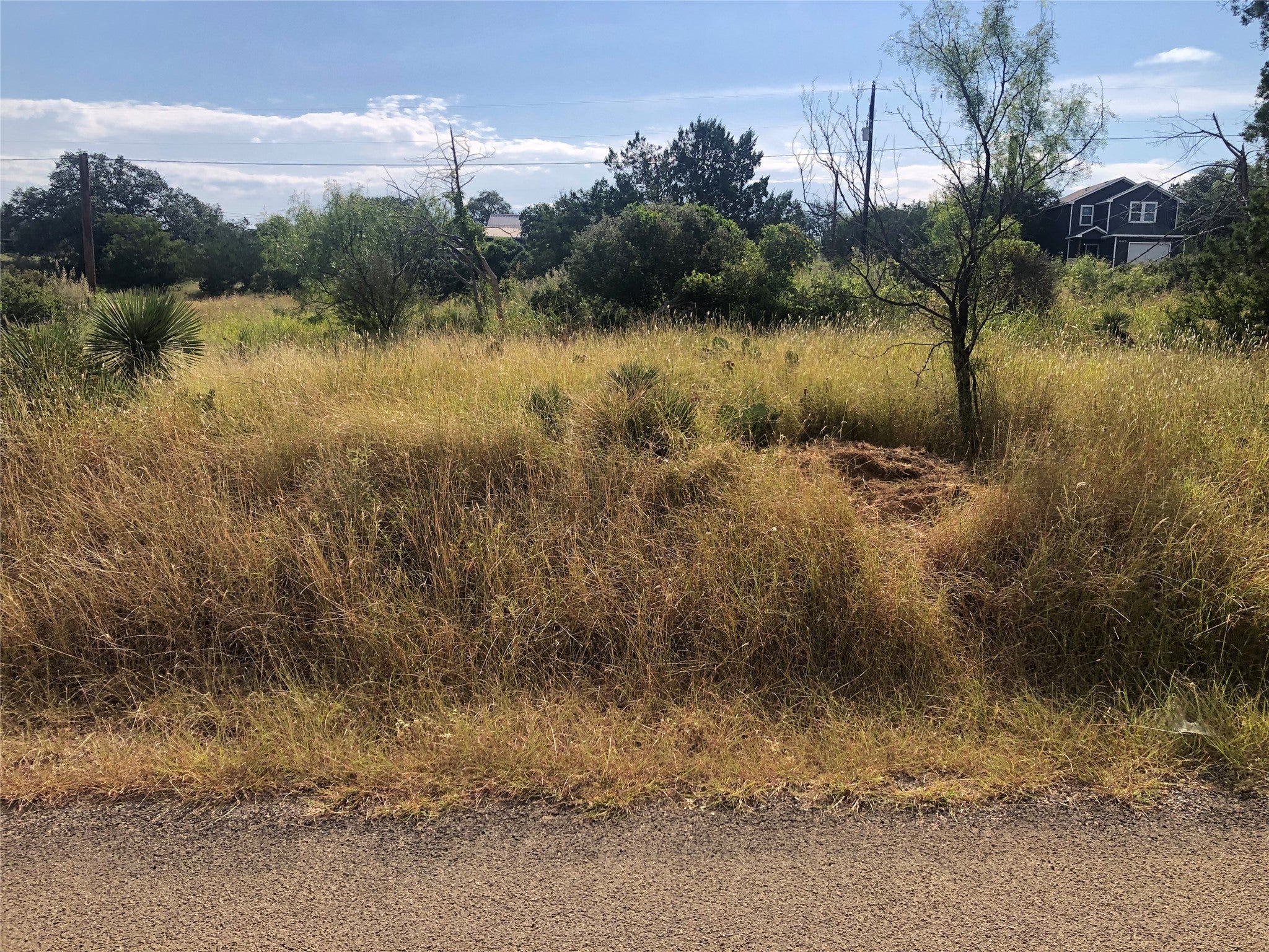 Photo of Listing #8776899