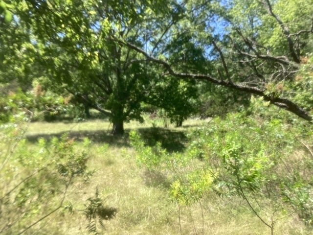 24418 Cottonwood Drive, Leander