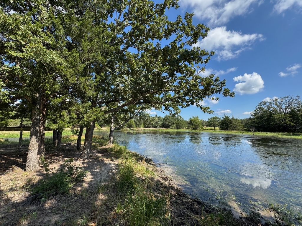 13115 Schoenemann Road, Carmine