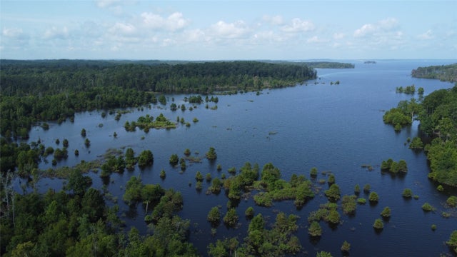 29 Live Oak Drive, Browndell