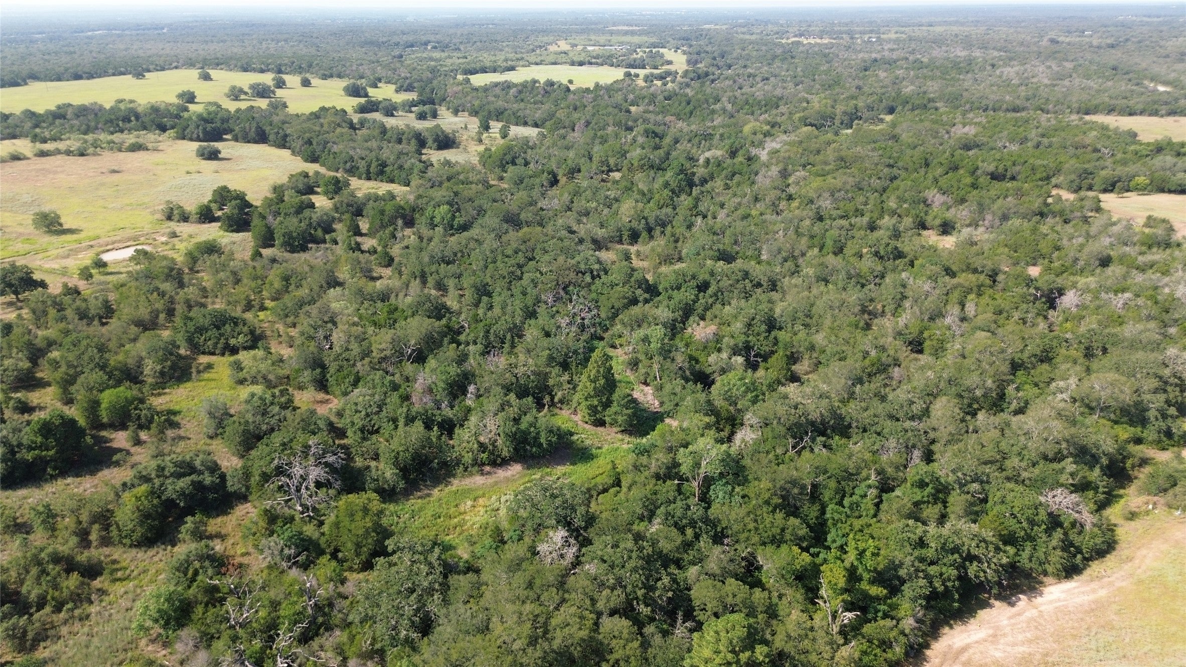 Photo of Listing #2881351