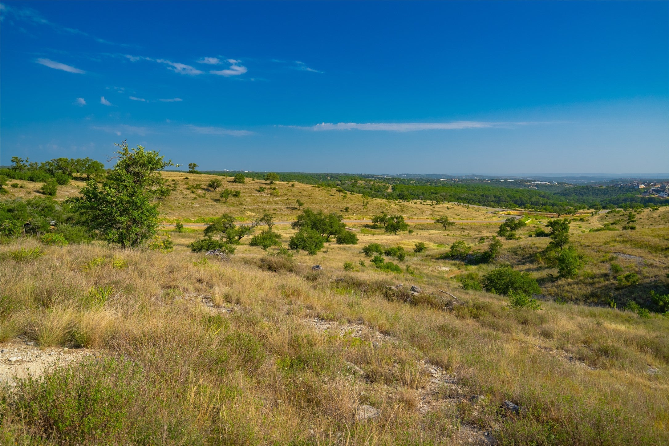 Photo of Listing #2384778