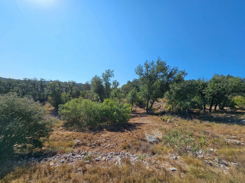 Photo of Listing #2501828