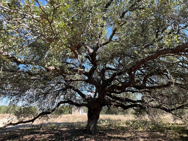 12609 Pauls Valley Road, Austin