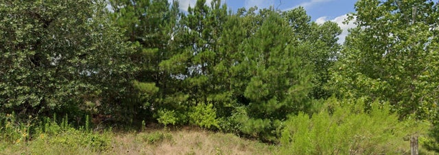 001 Kipahulu Lane, Bastrop