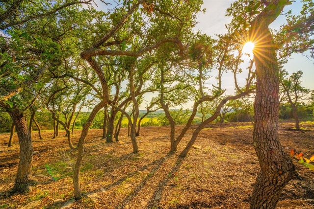 000 Freestone Views, Dripping Springs