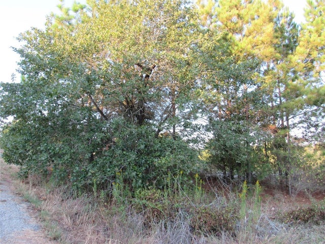 002 Kipahulu Lane, Bastrop