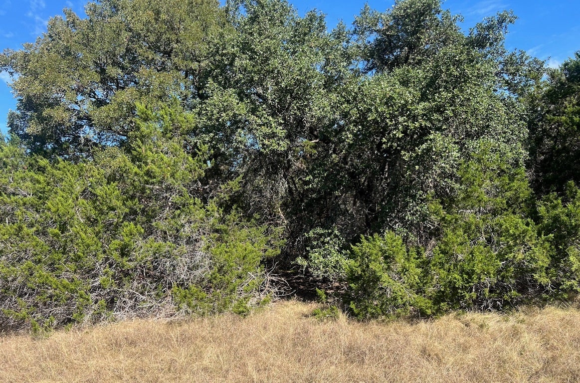 Photo of Listing #5270291