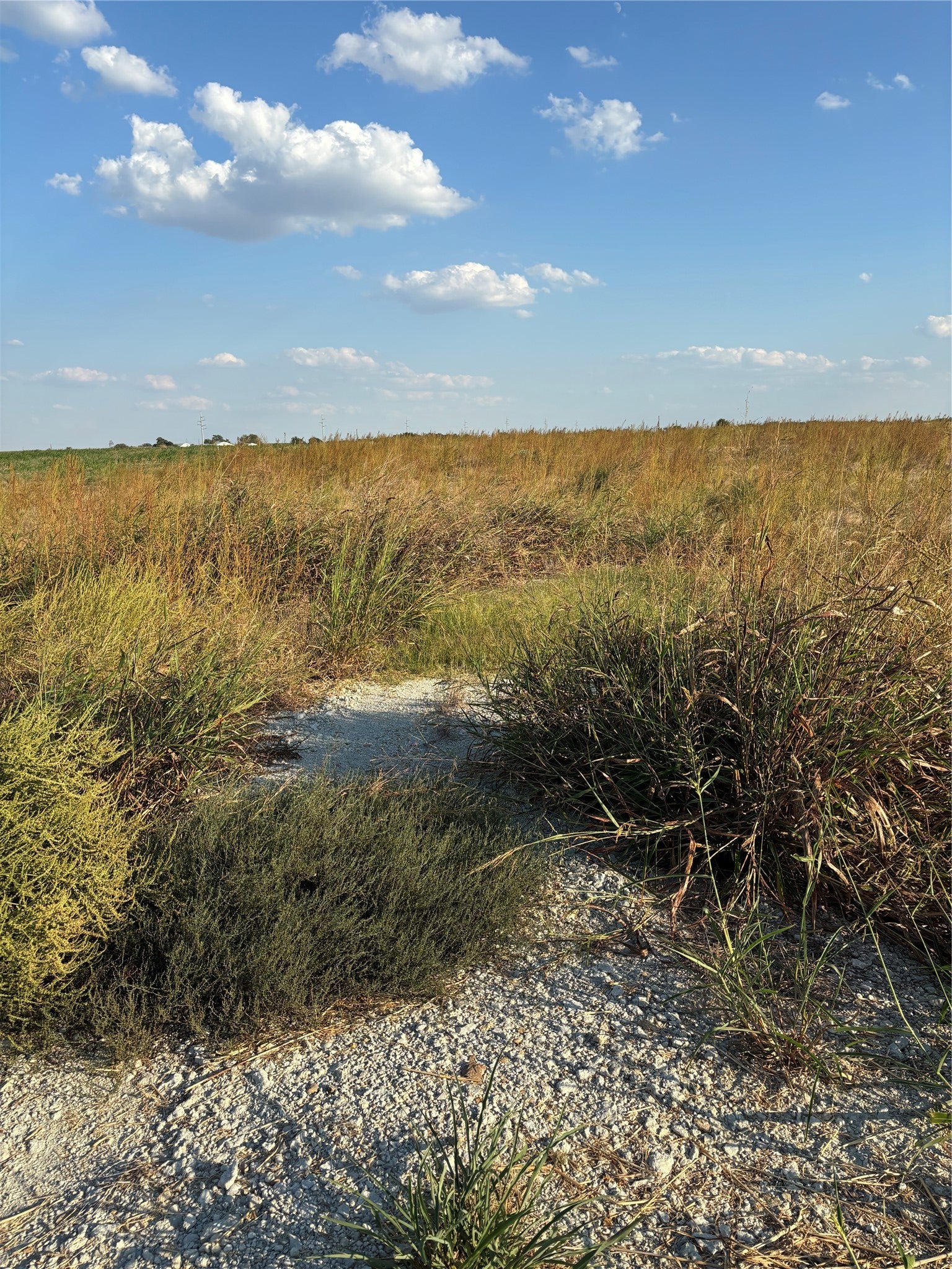 Photo of Listing #9587622