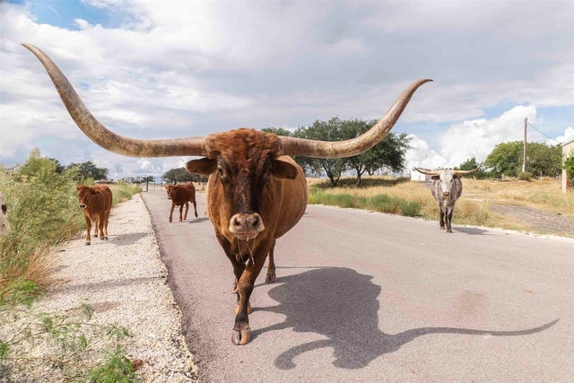 3958 Bandera Highway, Kerrville