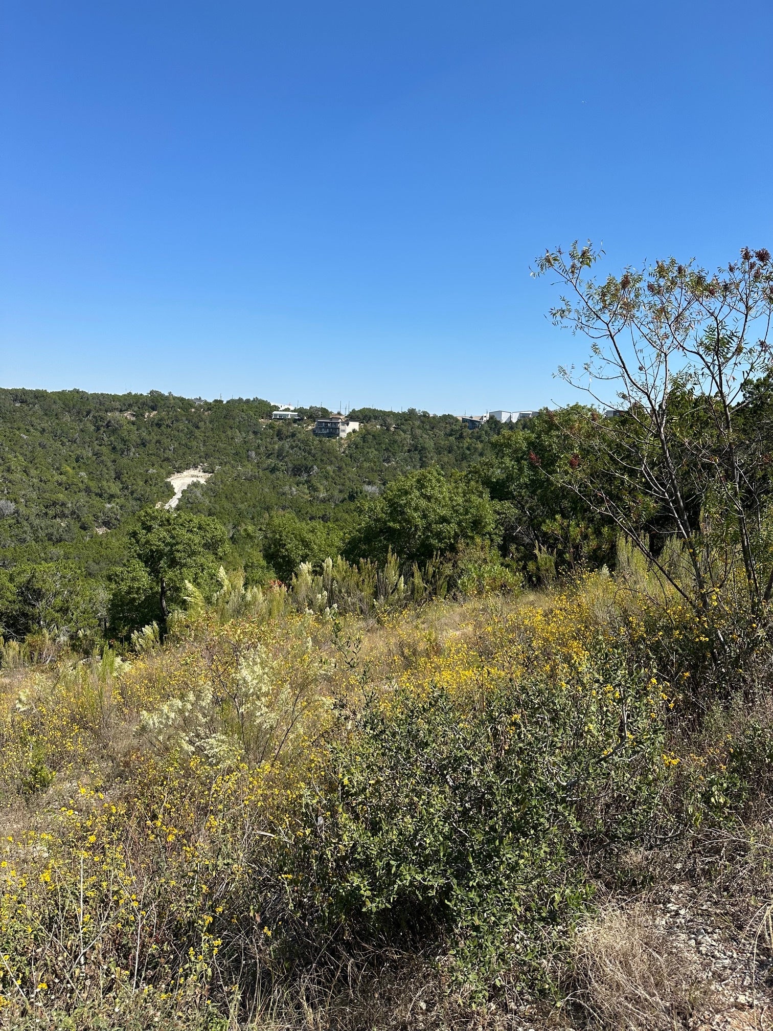 Photo of Listing #6048064