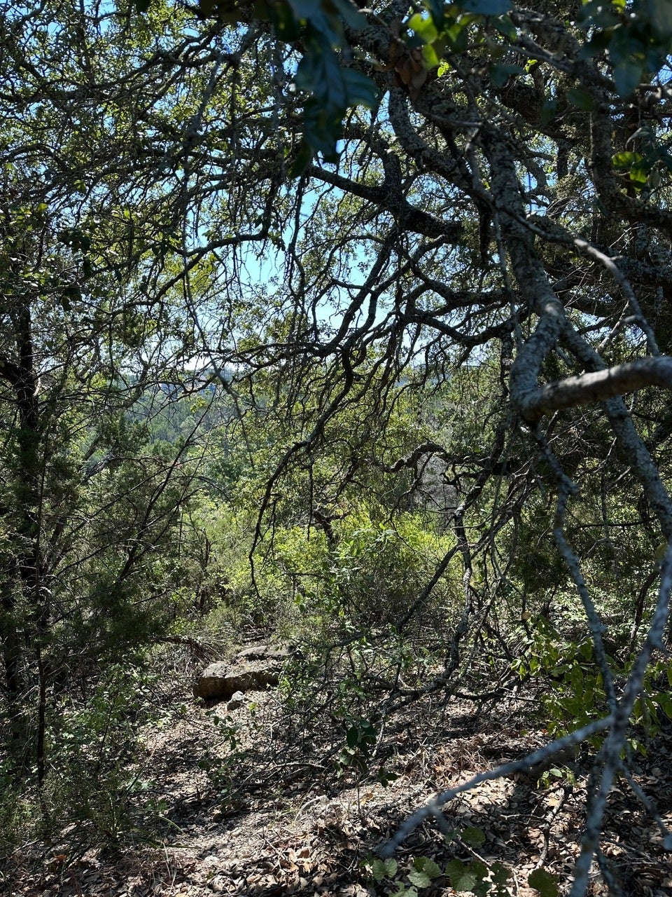 Photo of Listing #3134867