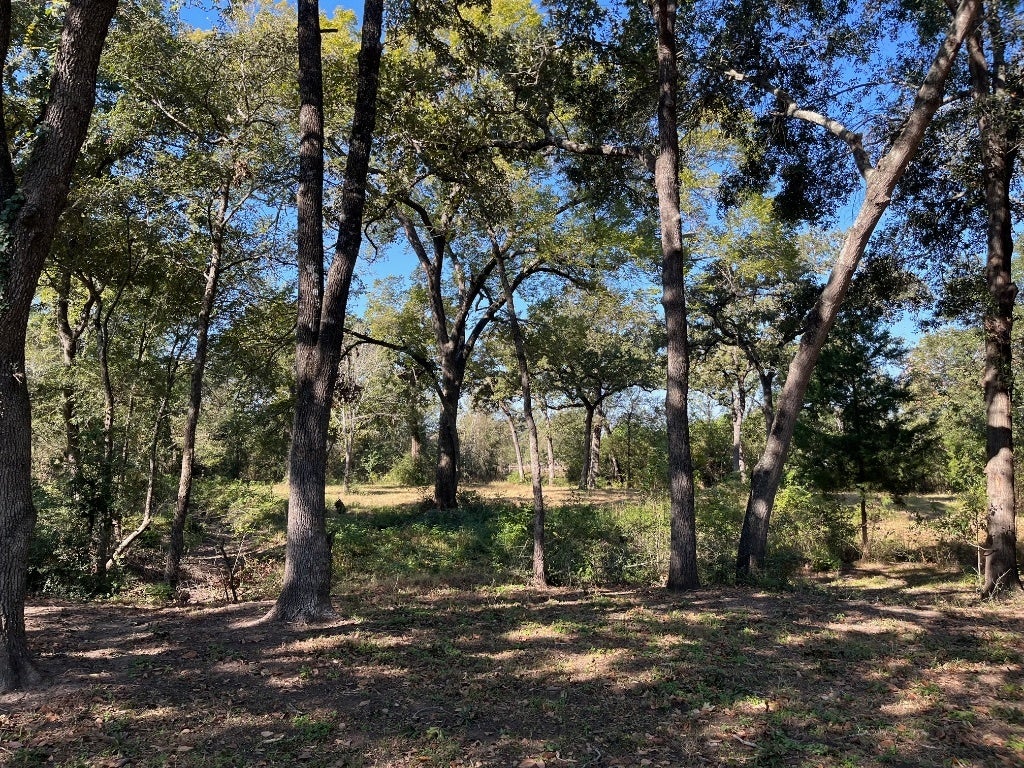 Tbd County Road 427, Somerville