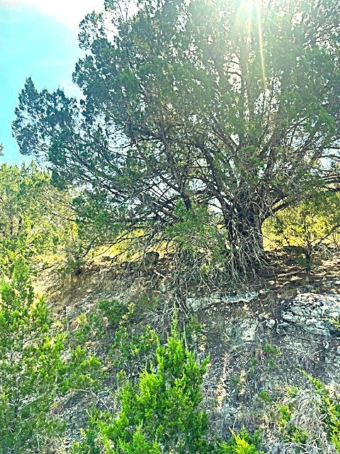 Photo of Listing #2786272