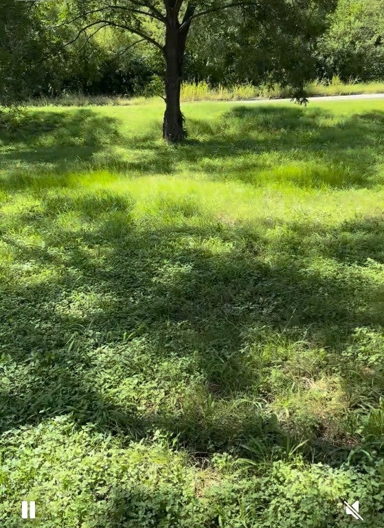 Photo of Listing #6352062