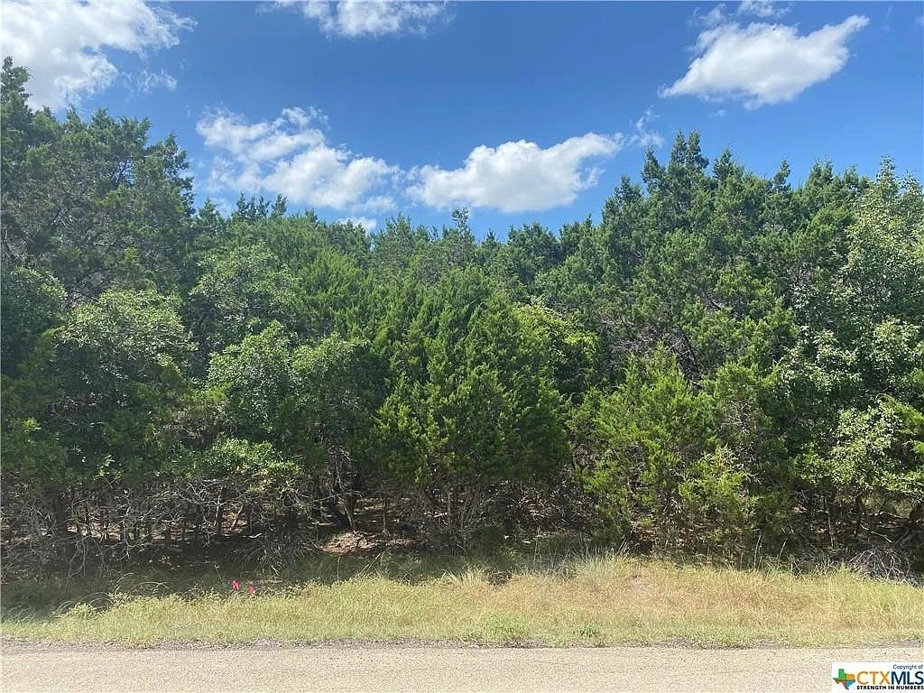 Photo of Listing #6857412