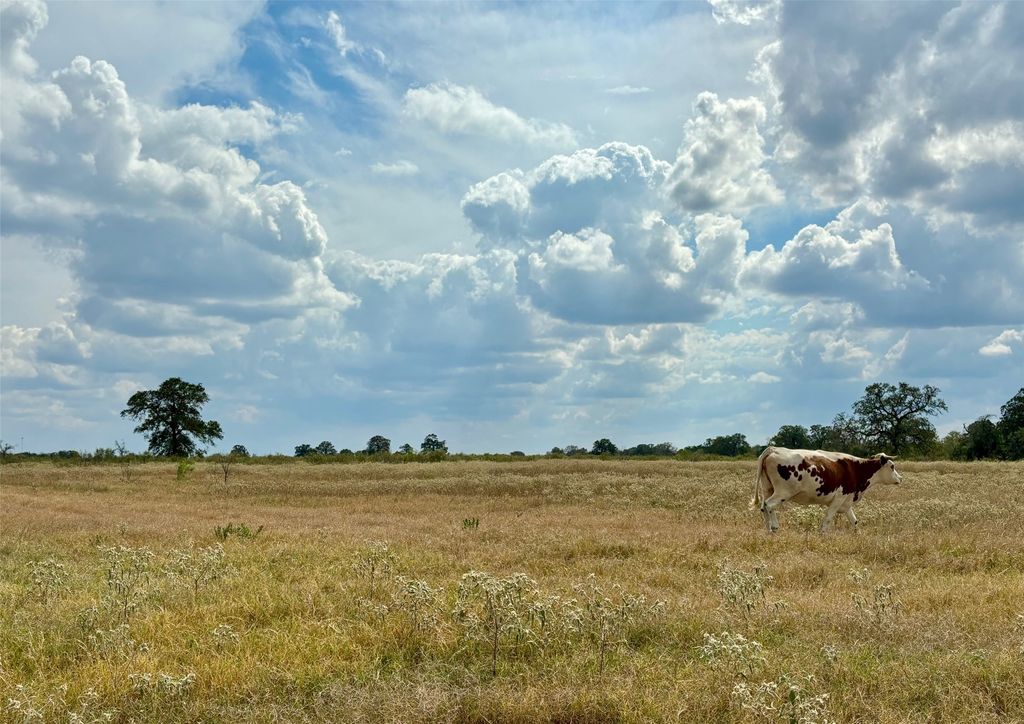 3 Big Sky Ranch Road, Smithville