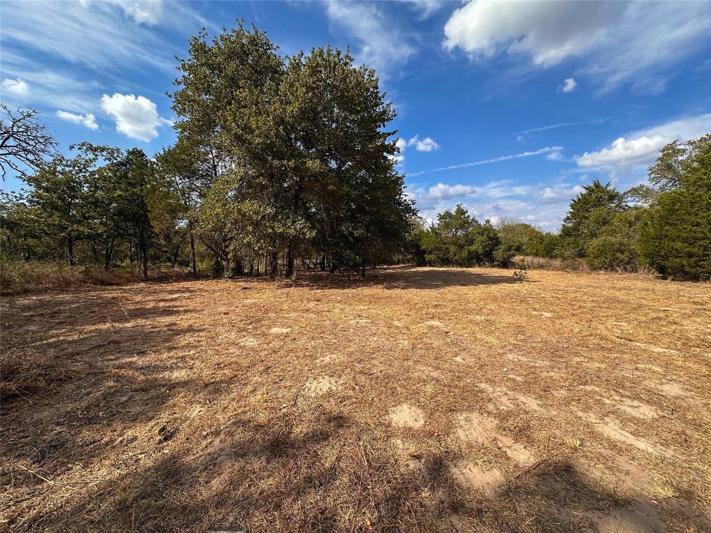 Tbd Walter Hoffman Road, Bastrop