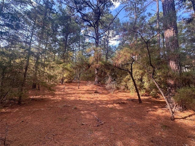 Lot 85 Hill Ridge Drive, Bastrop