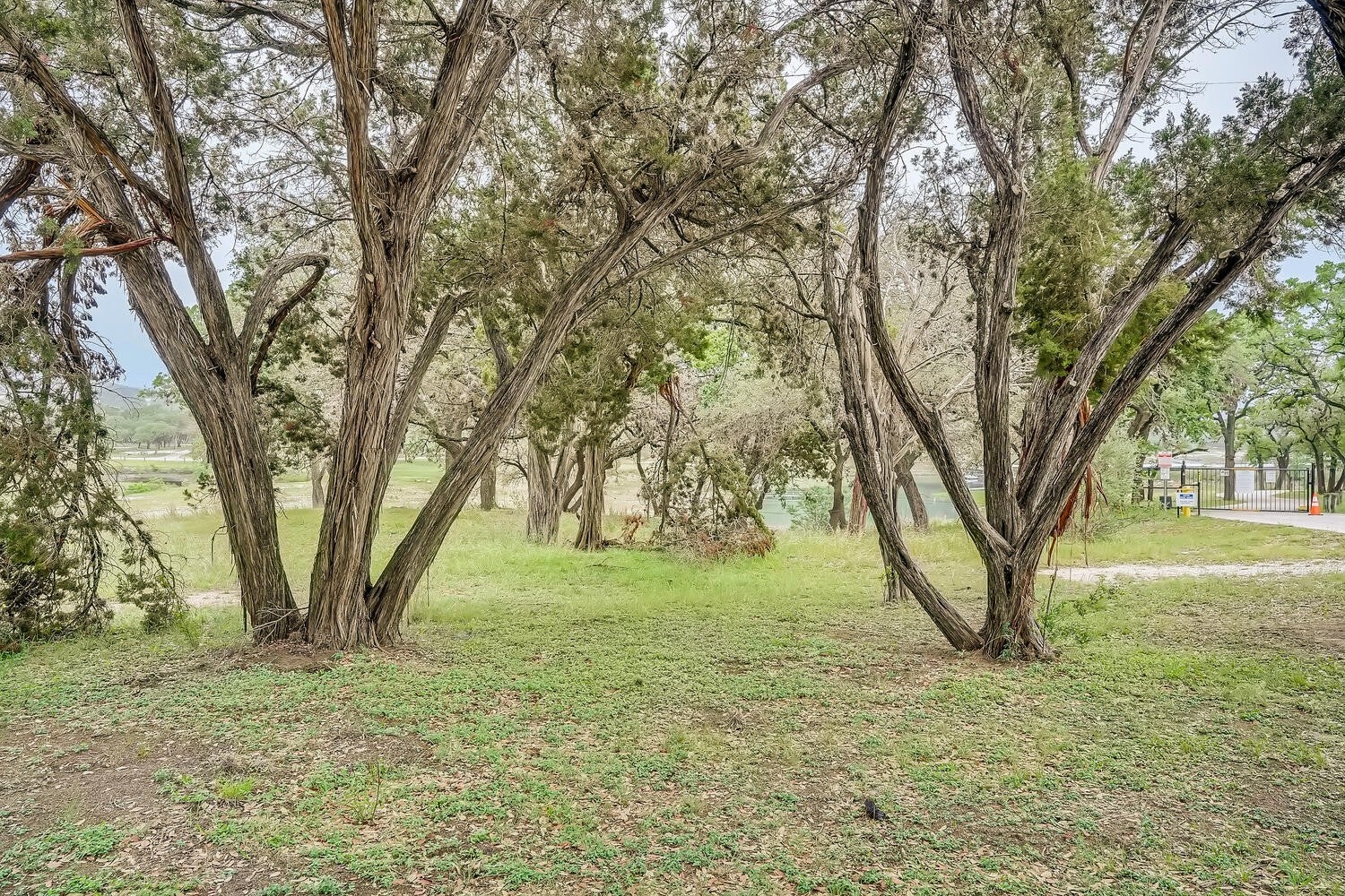 Photo of Listing #8426748