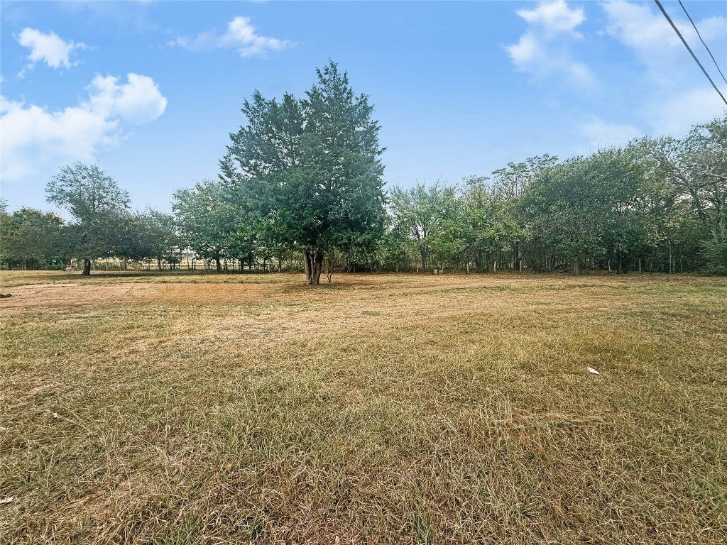 Photo of Listing #1137112