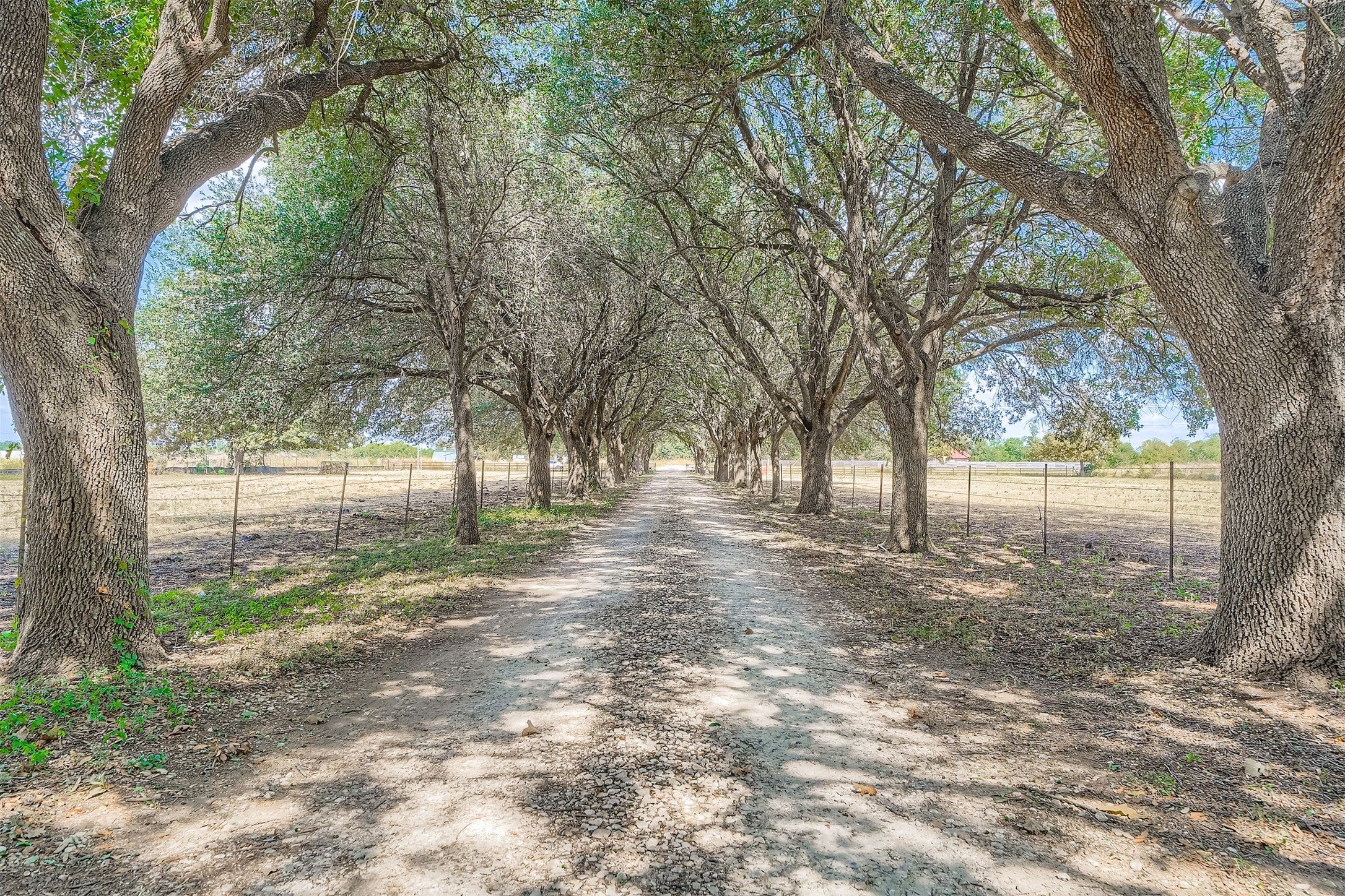 Photo of Listing #5658642