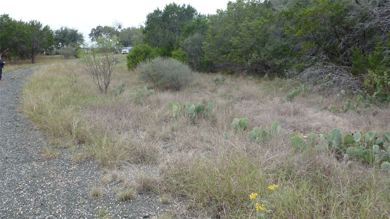 Photo of Listing #5591493