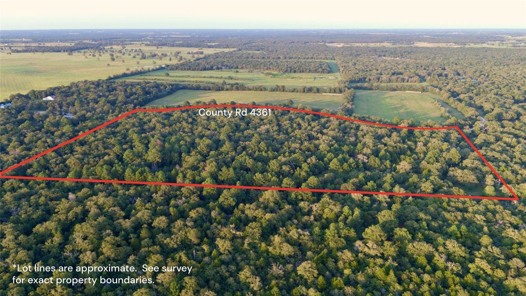 Tbd Private Road 4361, Dime Box
