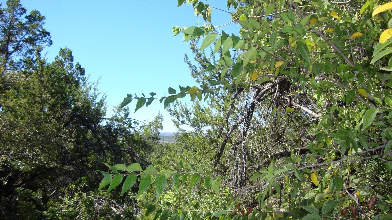 Photo of Listing #6020750