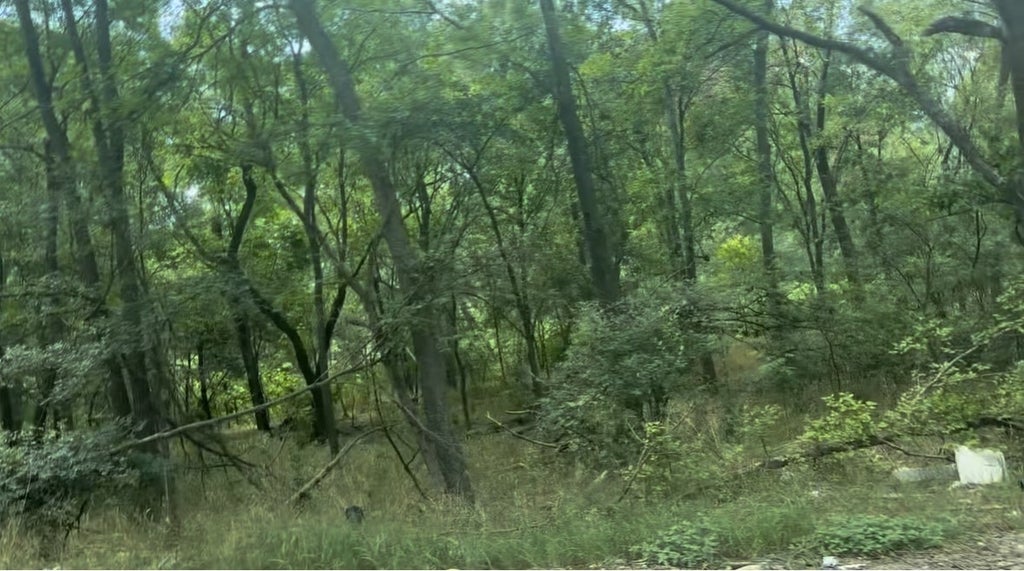 4200 Imperial Drive, Austin