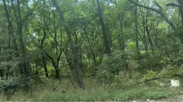 4200 Imperial Drive, Austin