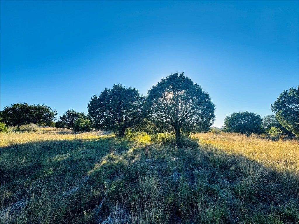 Photo of Listing #5960847