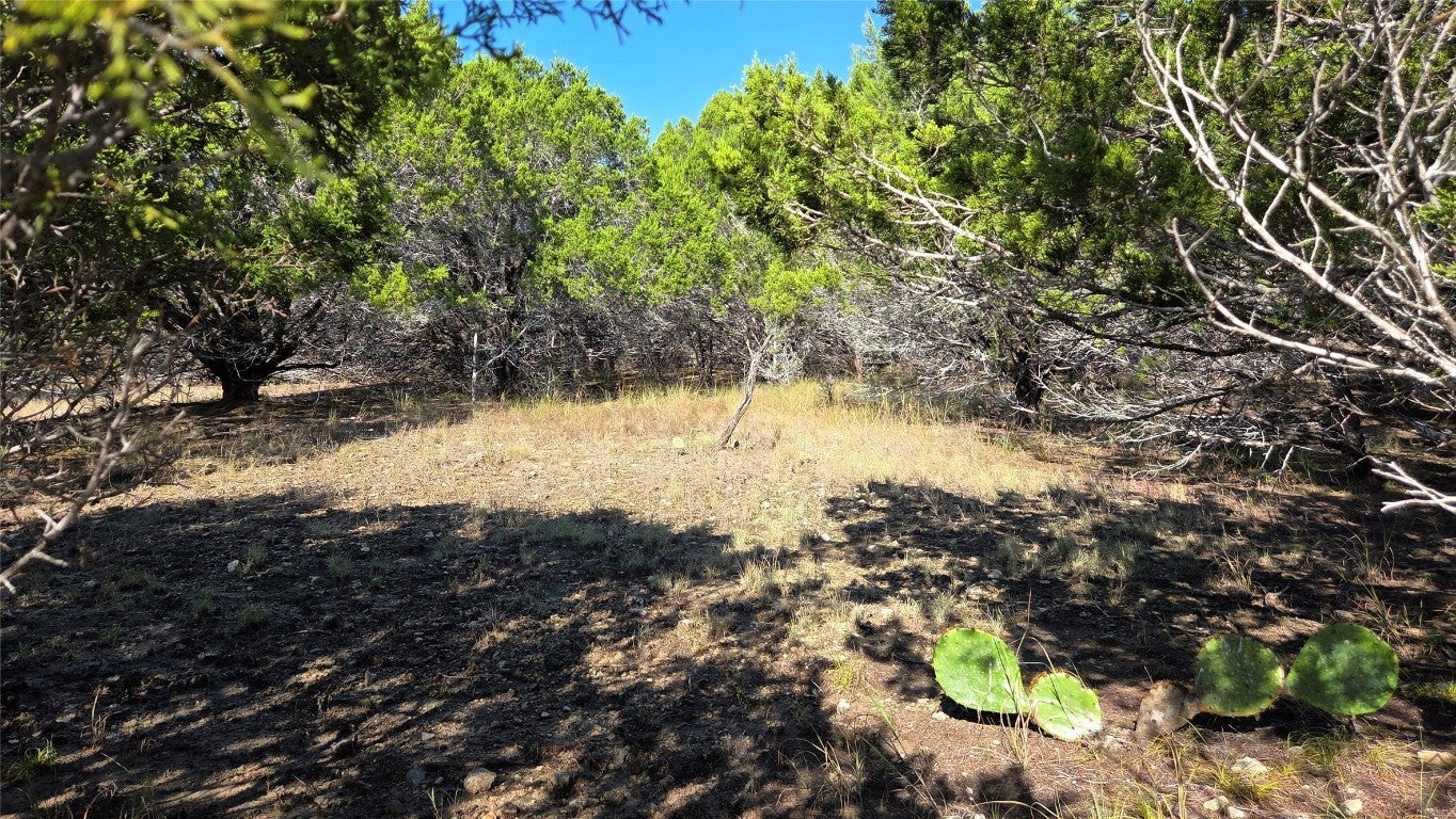 Photo of Listing #2737949