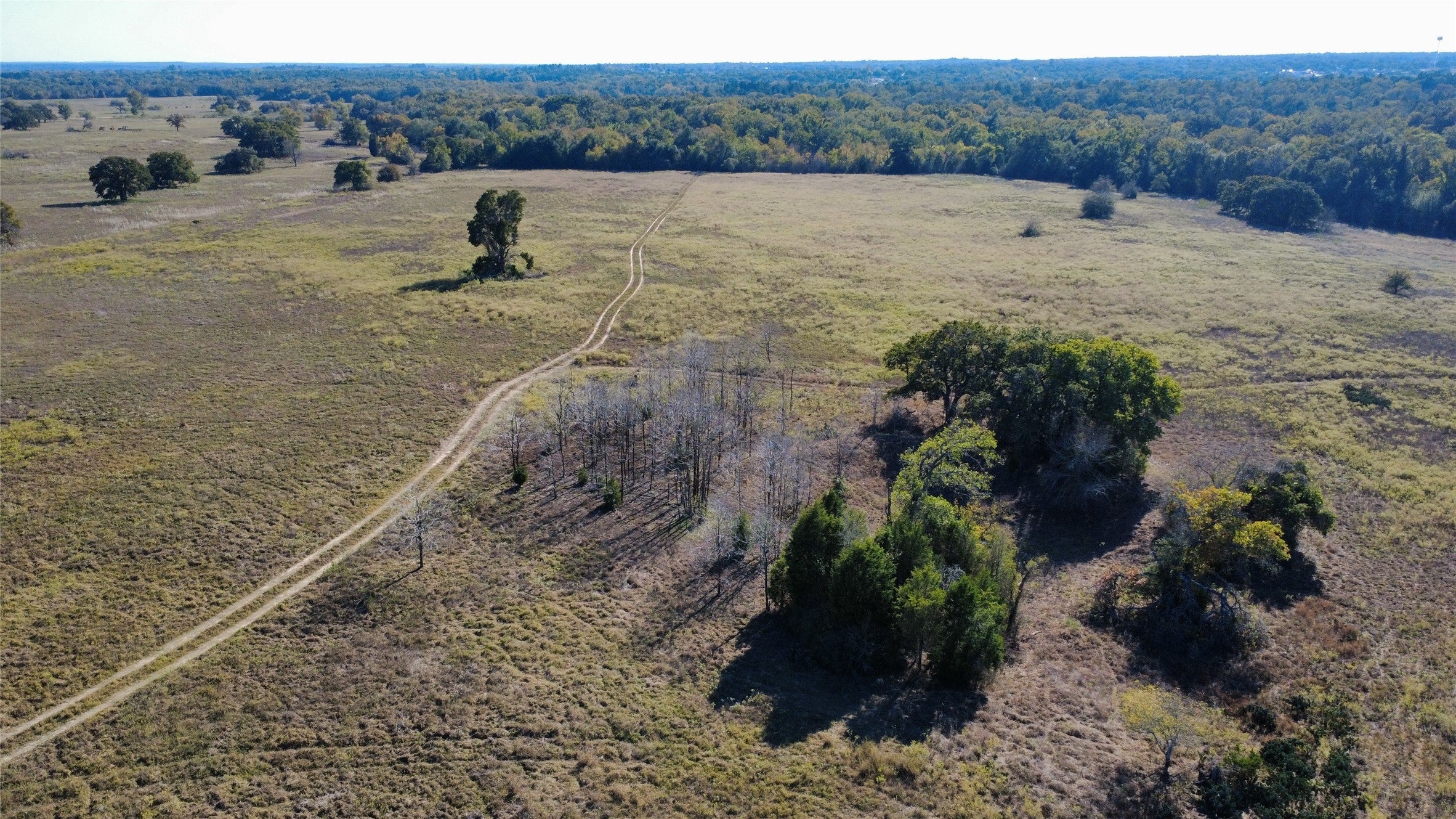 Photo of Listing #2832201