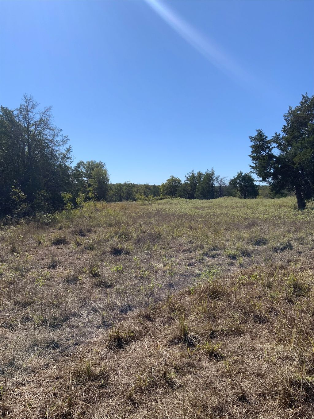 000 County Road 304, Lexington