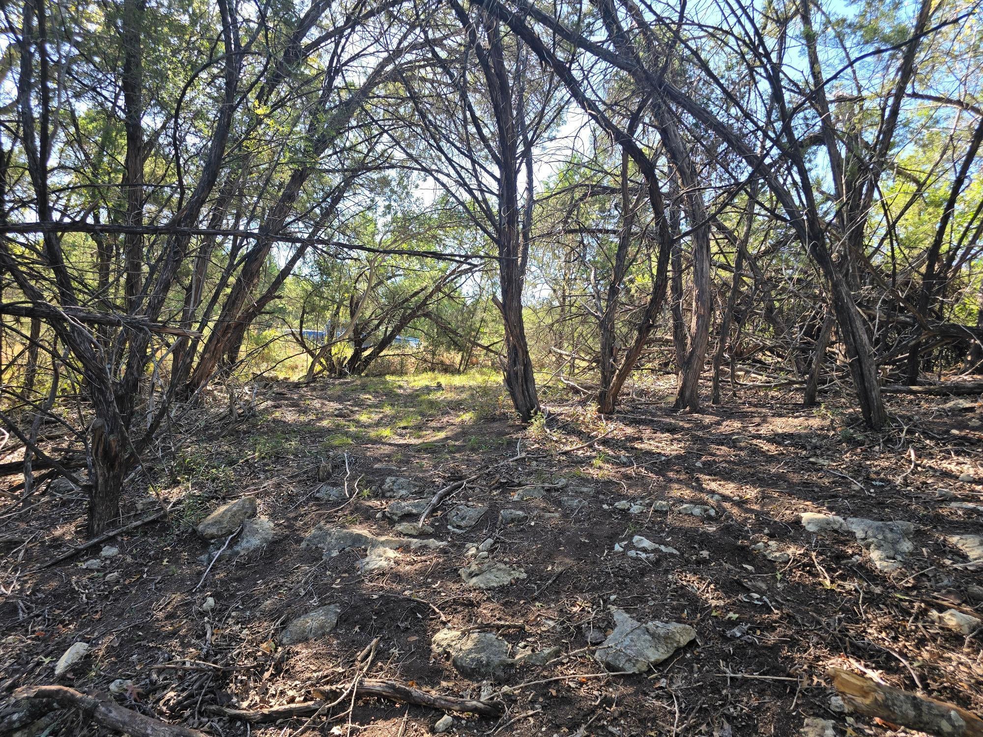 Photo of Listing #7316812