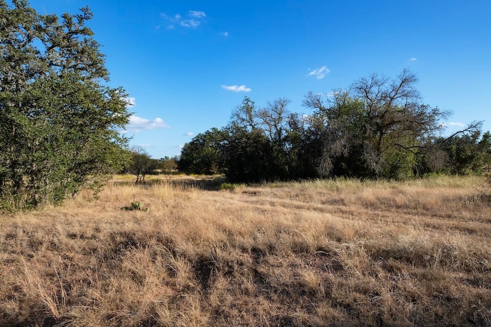 00000 Black Jack Road Road, Mason