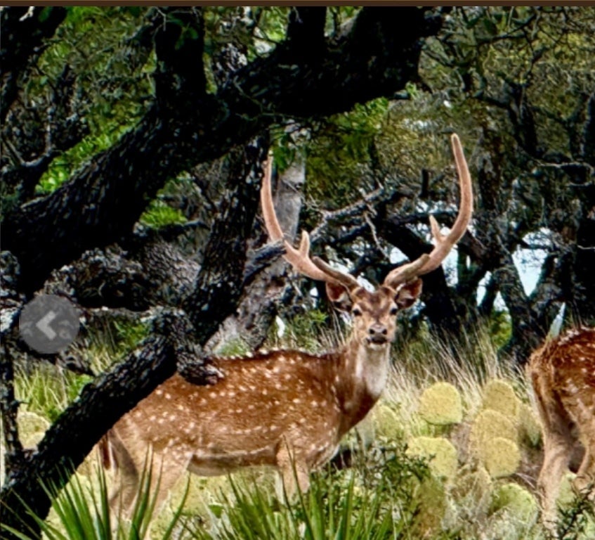 Photo of Listing #5746344