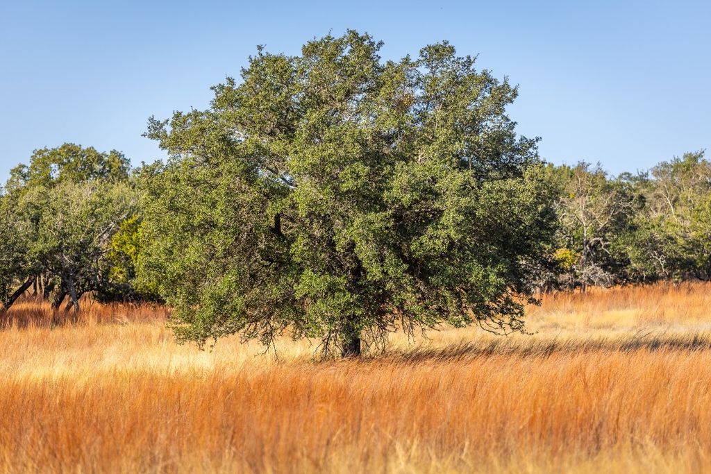 1260 County Road 2001, Lampasas