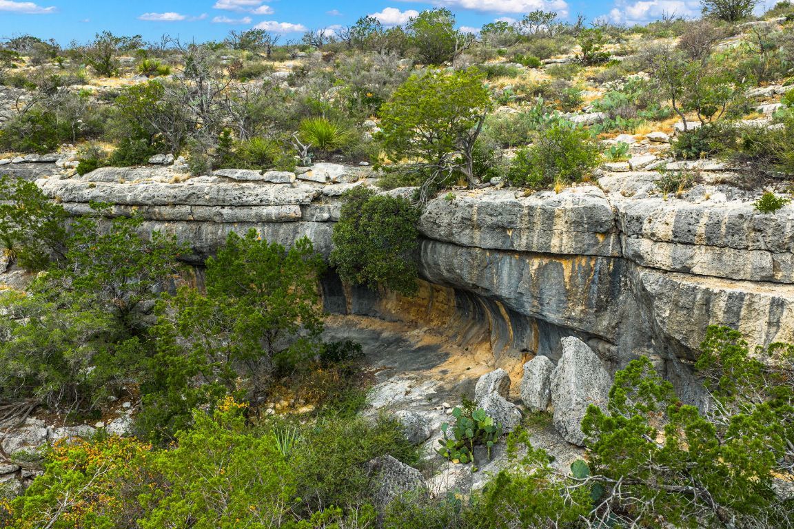 Photo of Listing #9644836