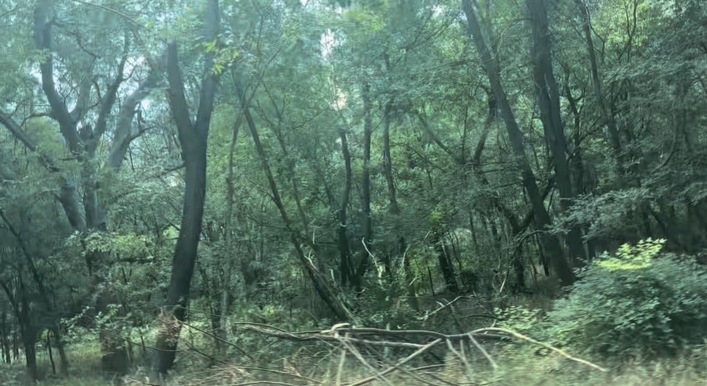 No Address Imperial Drive, Austin